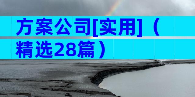方案公司[实用]（精选28篇）